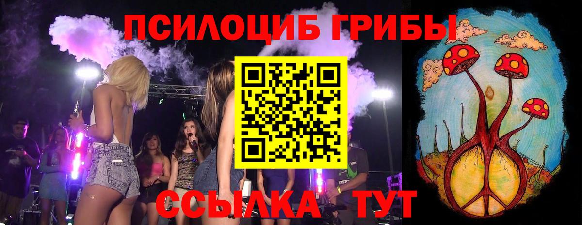 Псилоцибиновые грибы GOLDEN TEACHER  Вход с VPN  Чехов  Псилоцибиновые грибы прущие грибы 