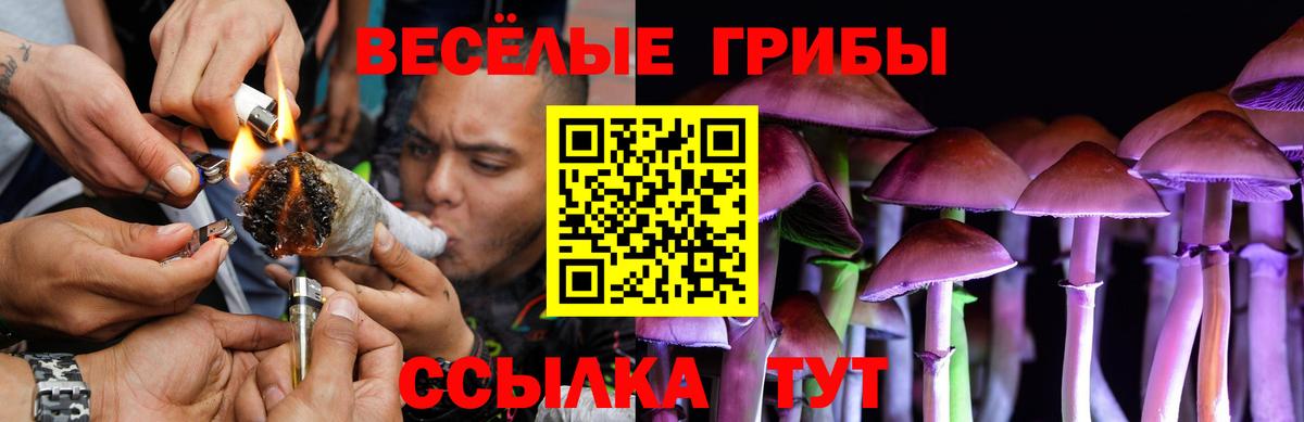 Галлюциногенные грибы GOLDEN TEACHER Чехов